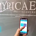 Myricae 마테라