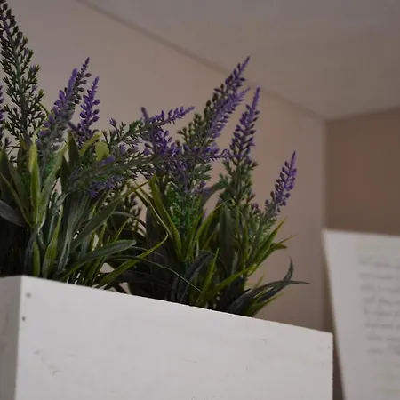 Myricae Bed & Breakfast